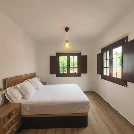 Blue Lizard 洛斯·亚诺斯·德·阿里丹