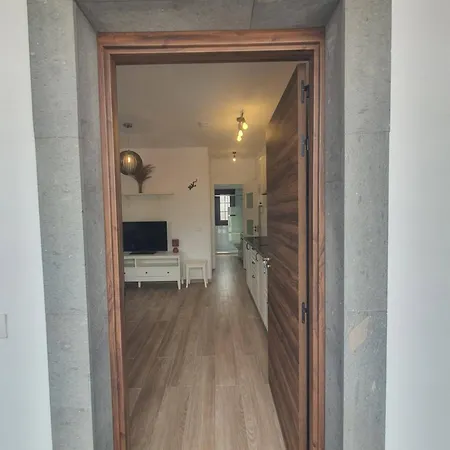 Διαμέρισμα Blue Lizard