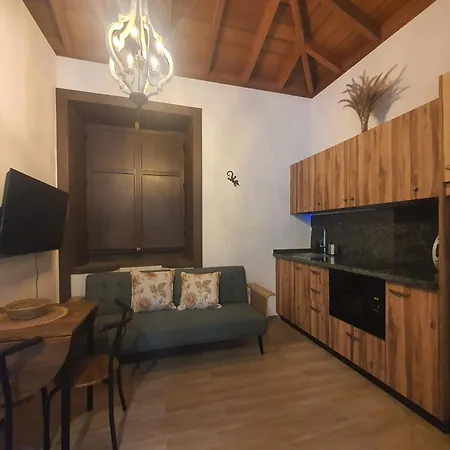 Blue Lizard 洛斯·亚诺斯·德·阿里丹