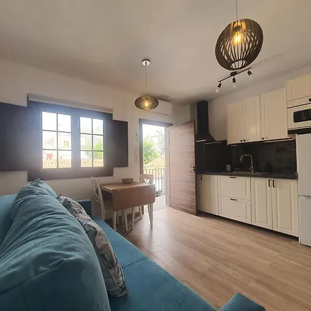 Апартаменты Blue Lizard *